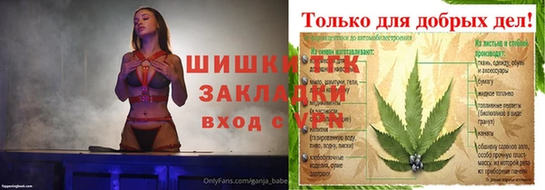прущие грибы Балахна