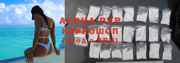 прущие грибы Балахна