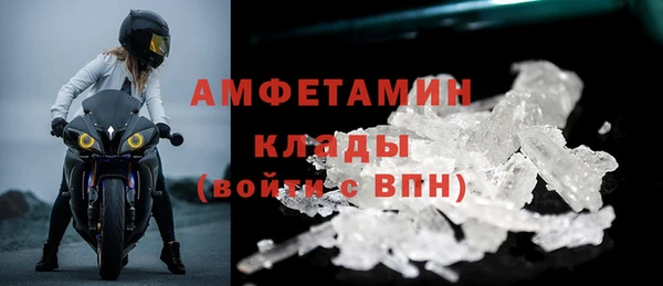 прущие грибы Балахна