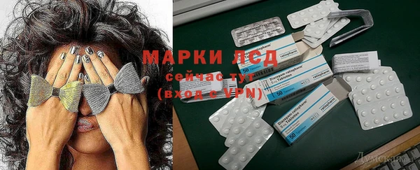 прущие грибы Балахна
