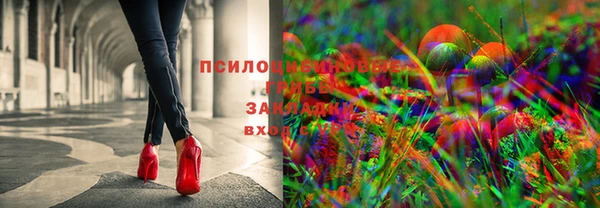 прущие грибы Балахна